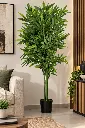 AD07713-2.webp