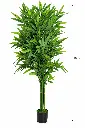 AD07713-1.webp