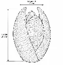 Measurements photo.webp
