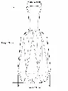 Measurements.webp