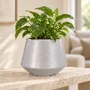 Silver (2).webp