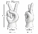 SKETCH WITH DIMENSIONS.webp