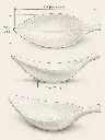 dimensionse.webp