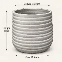 Measurements.webp
