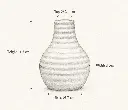 ribbed bud sketch.webp
