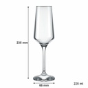 Champagne Glass 225ml Stemmed Brunello 27072