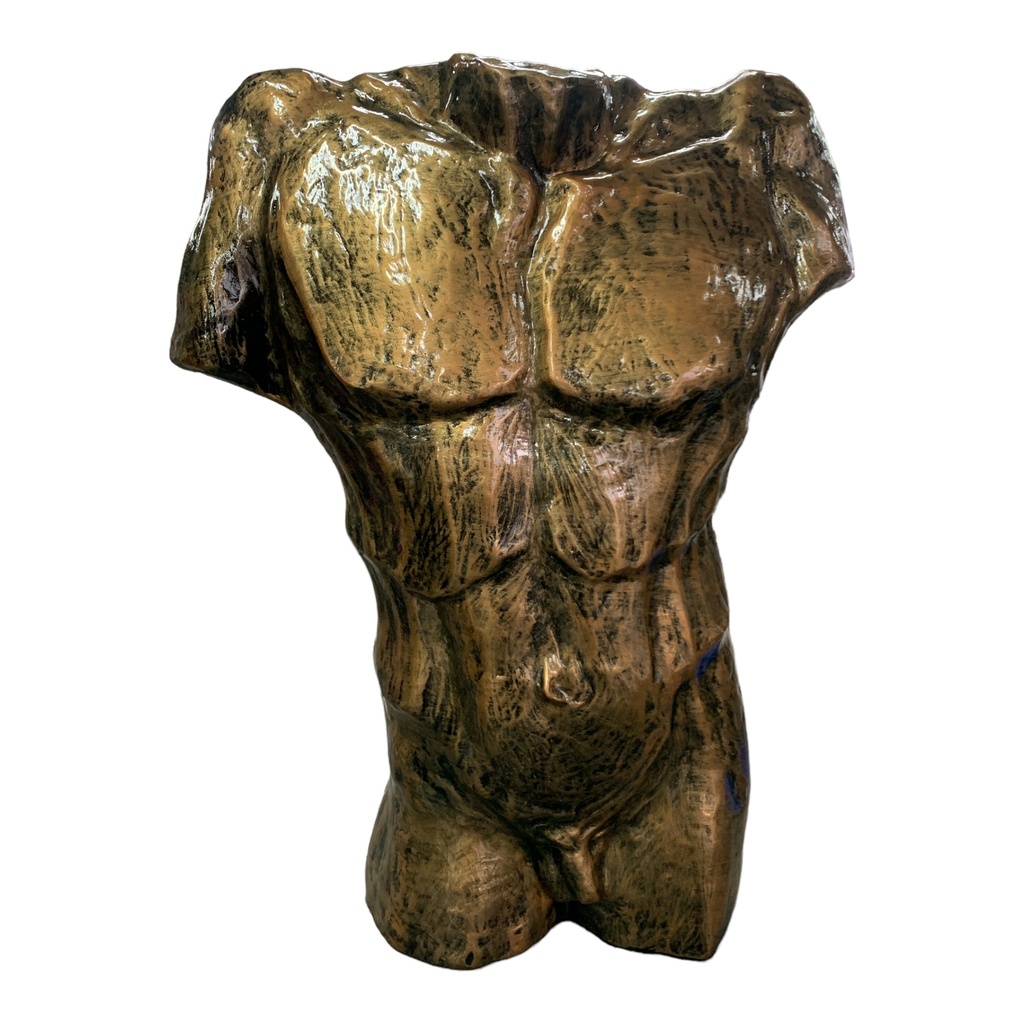 Decor Ornament AC 65x56cm Male Torso-Metallic