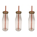 Bottle with Straw 3pc Combo 300ml Monica JAR101