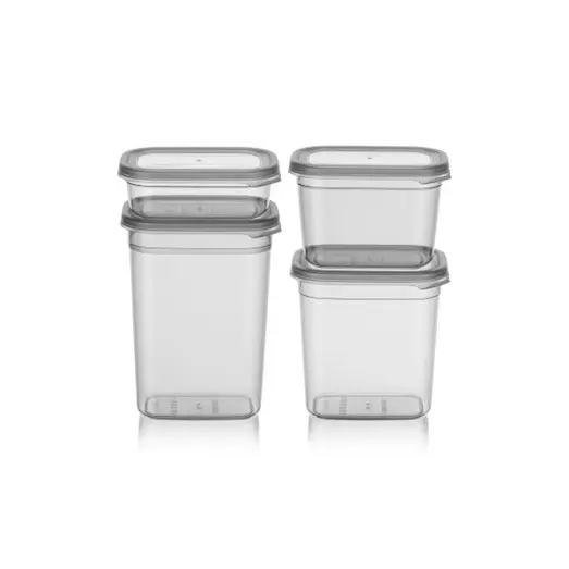 Canister Storage Box 4pc Set Peggy Container BNM-6690