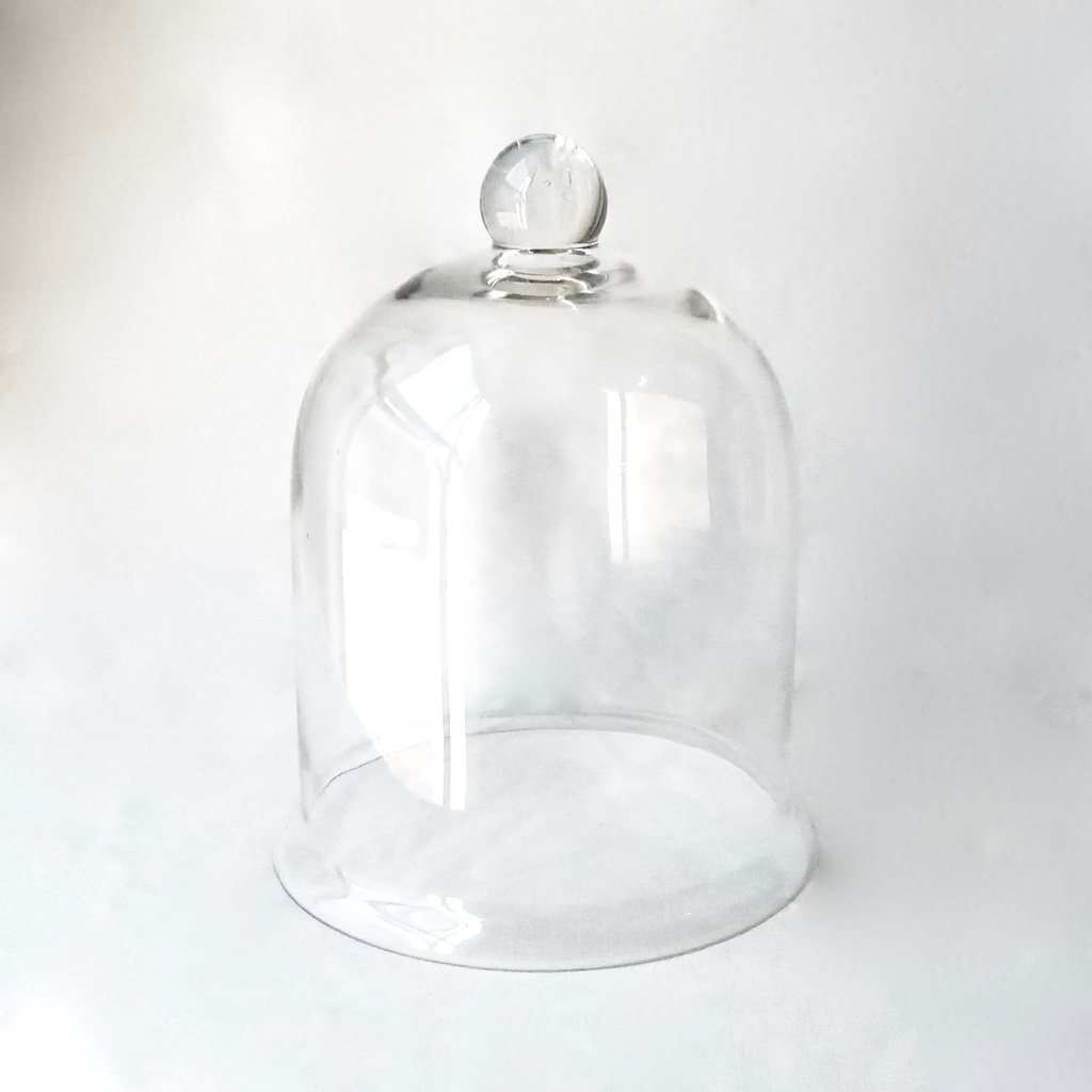 Cake Dome 25.5x33.5cm Glass MV867