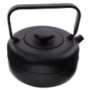 Teapot Cast Iron 850ml Nambu Tekki Style Tea Infuser Black 21746