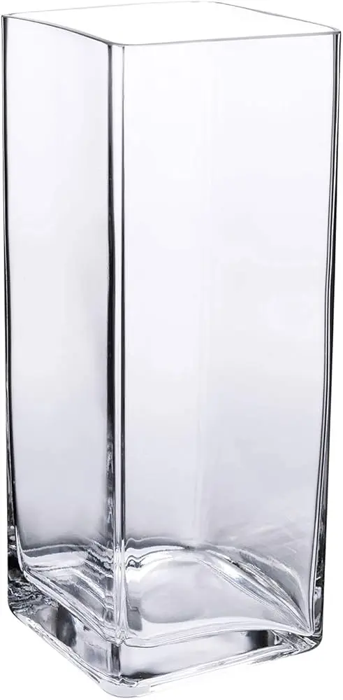 Glass Vase 20x8.5cm Square Clear Heavy VAS820FG