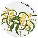 Coaster 9.5cm Botanic Gardens Acacia Pycnantha - Maxwell & Williams DU0144