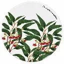 Coaster 9.5cm Botanic Gardens Acacia Pycnantha - Maxwell & Williams DU0145