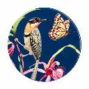 Coaster 10cm Eloise Short Spinebill Honeyeater - Maxwell & Williams DU0506