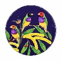 Coaster 10cm Eloise Short Gouldian Finch - Maxwell & Williams DU0507