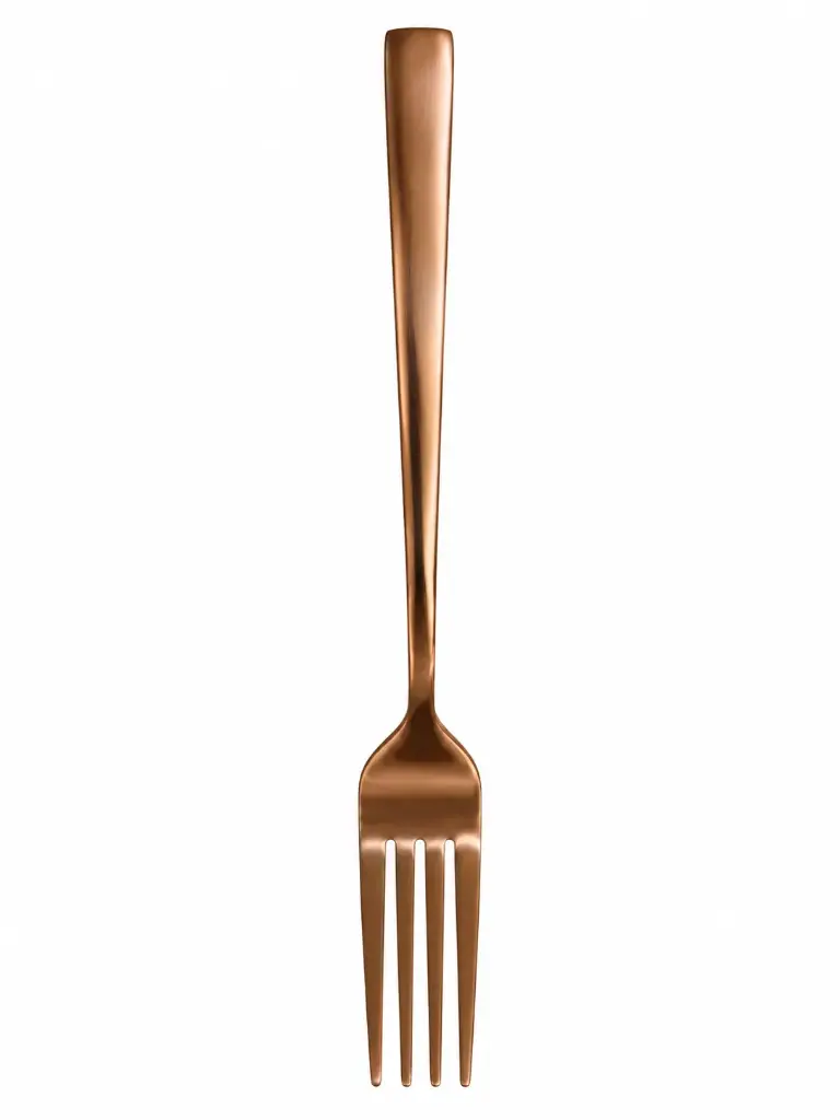 Table Fork 6Pc Square Handle Colours Stainless Steel-Dcs71