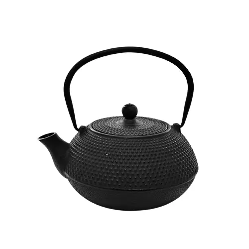 Teapot Cast Iron 600ml Tea Infuser Black - Eetrite RH143Blk