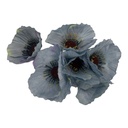 Artificial Flower 29Cm 6Head Casing H-549