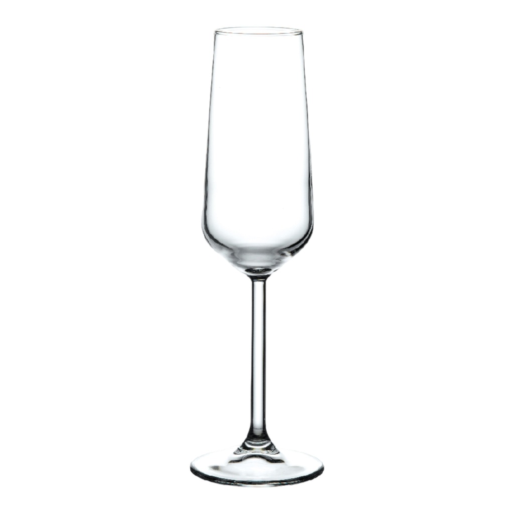 Champagne Glass 195ml - Allegra 440079