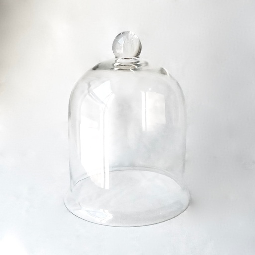 [MV867] Cake Dome 25.5x33.5cm Glass MV867