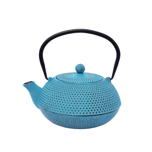 [AD01075] Teapot Cast Iron 600ml Tea Infuser Turquoise - Eetrite RH143TQ 