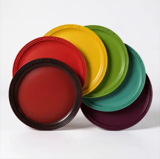 [RHD353] Plate Set 6pc 23cm Rainbow - Leopard