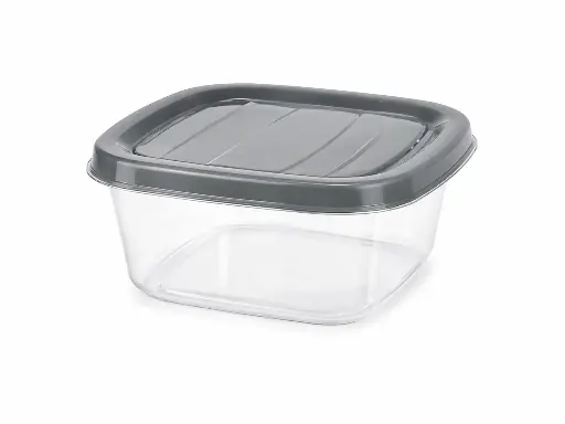 [RHD9703] Storage Box 1lt (16x16x7cm) Polybox Plastic - E-764