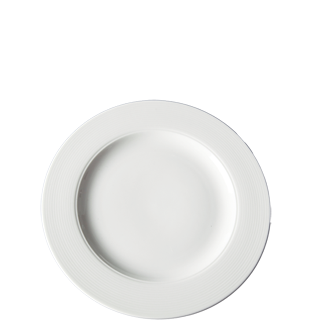 [D1130] Plate 23cm Entrée Polaris - Continental 