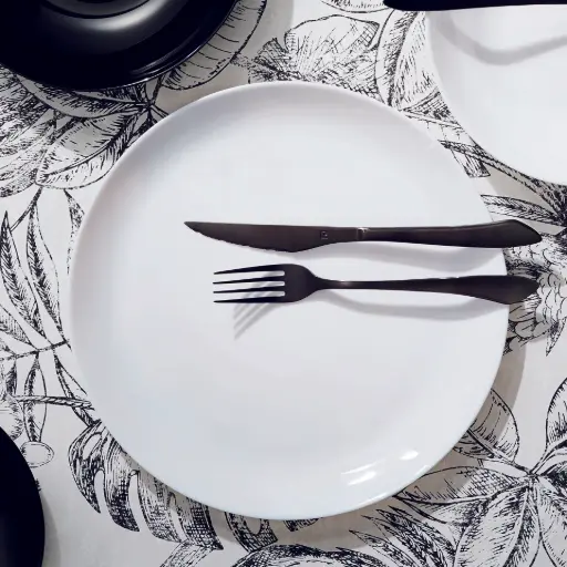 [D1272] Plate 27Cm Opal White Consol 41033