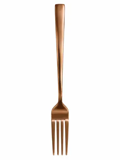 [CT792|ROSEGOLD] Table Fork 6Pc Square Handle Colours Stainless Steel-Dcs71