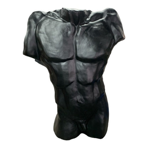 [RHD5124] Decor Ornament AC 65x56cm Male Torso-Base